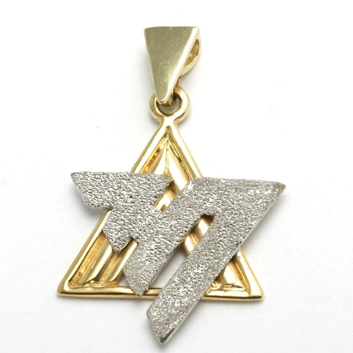 14k Yellow & White Gold Chai and Star of David Pendant