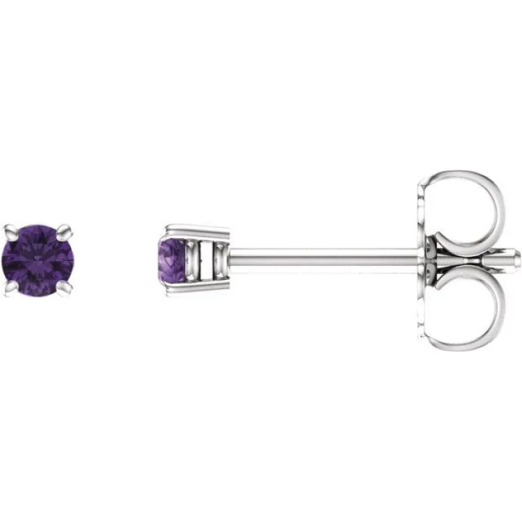 14K White 2.5 mm Natural Amethyst Stud Earrings with Friction Post